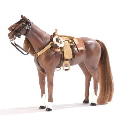 Western Riding Set